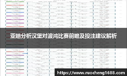 亚赔分析汉堡对波鸿比赛前瞻及投注建议解析